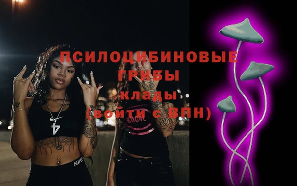 гидропоника Арсеньев